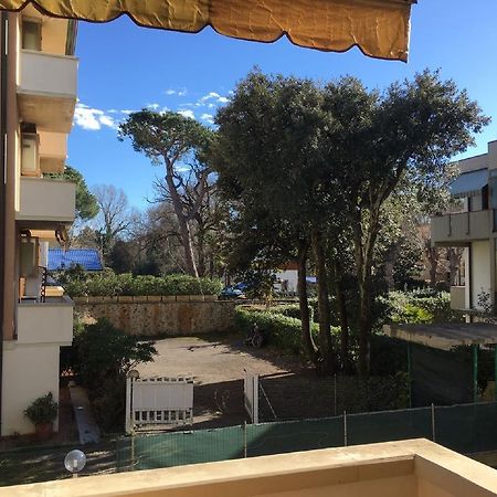 Appartamento City Garden فياريجيو المظهر الخارجي الصورة